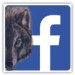 Facebook - Gramm 